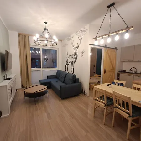 Apartment Apartament Krynica Central Krynica Zdroj