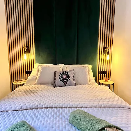 公寓 Apartament Krynica Central 克雷尼察