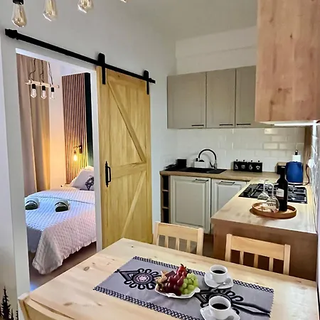 公寓 Apartament Krynica Central 克雷尼察