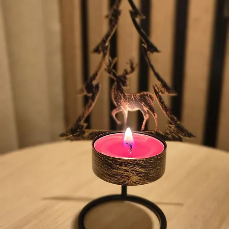Apartament Krynica Central