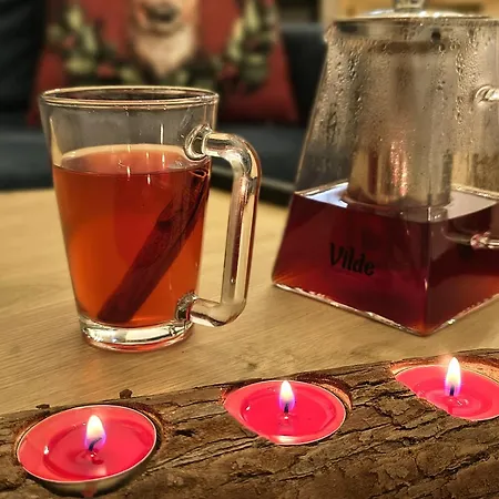 Apartament Krynica Central 公寓 *