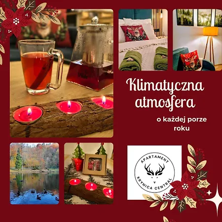 Apartament Krynica Central 公寓 *