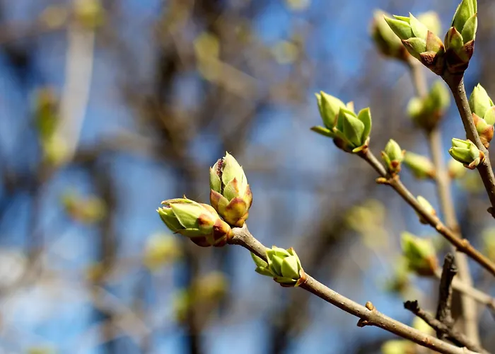 شقة Apartament Krynica Central