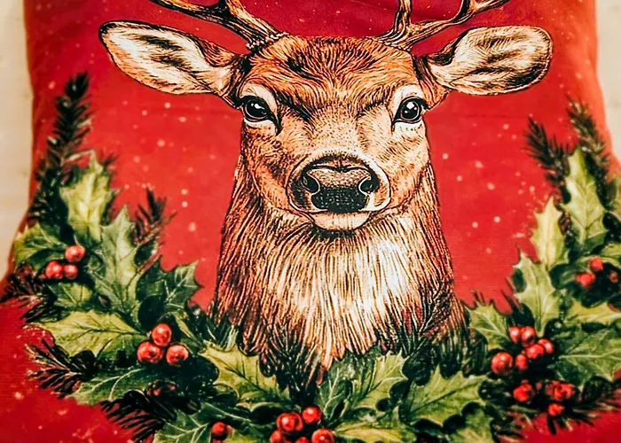 Apartament Krynica Central * كرينيتسا زدروي