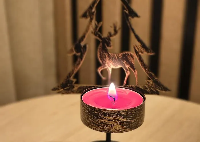 Apartament Krynica Central