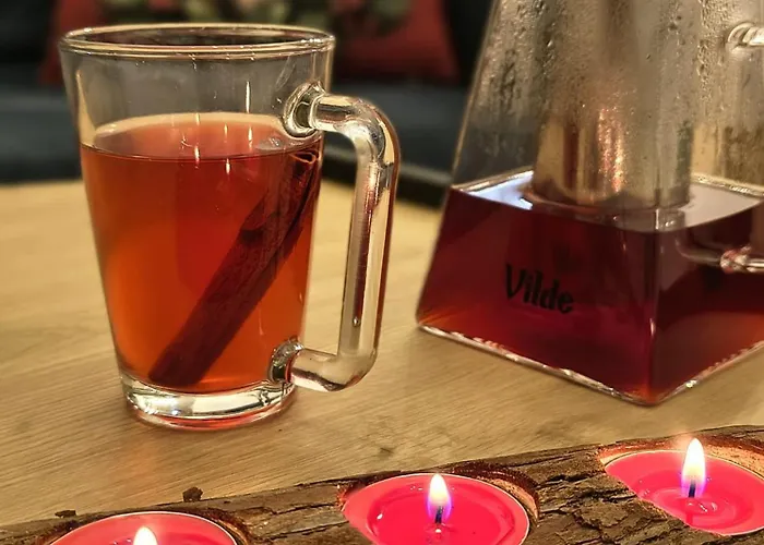 Apartament Krynica Central شقة *