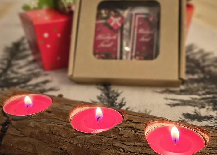 شقة Apartament Krynica Central *